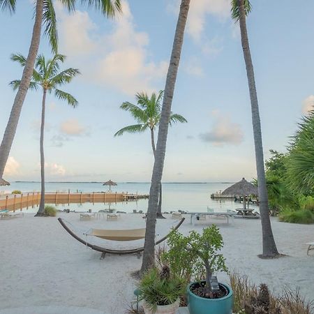 Kona Kai Resort And Gallery (Adults Only) Key Largo Zewnętrze zdjęcie